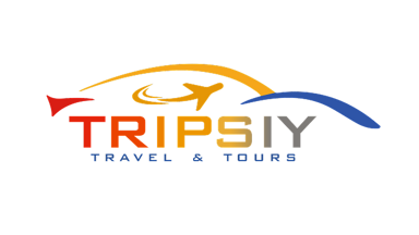 Tripsiy Logo