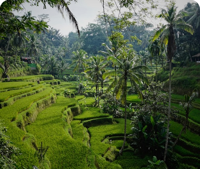 Bali